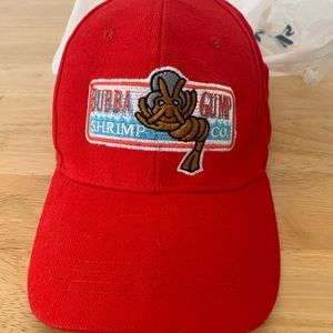 Forest Gump hat